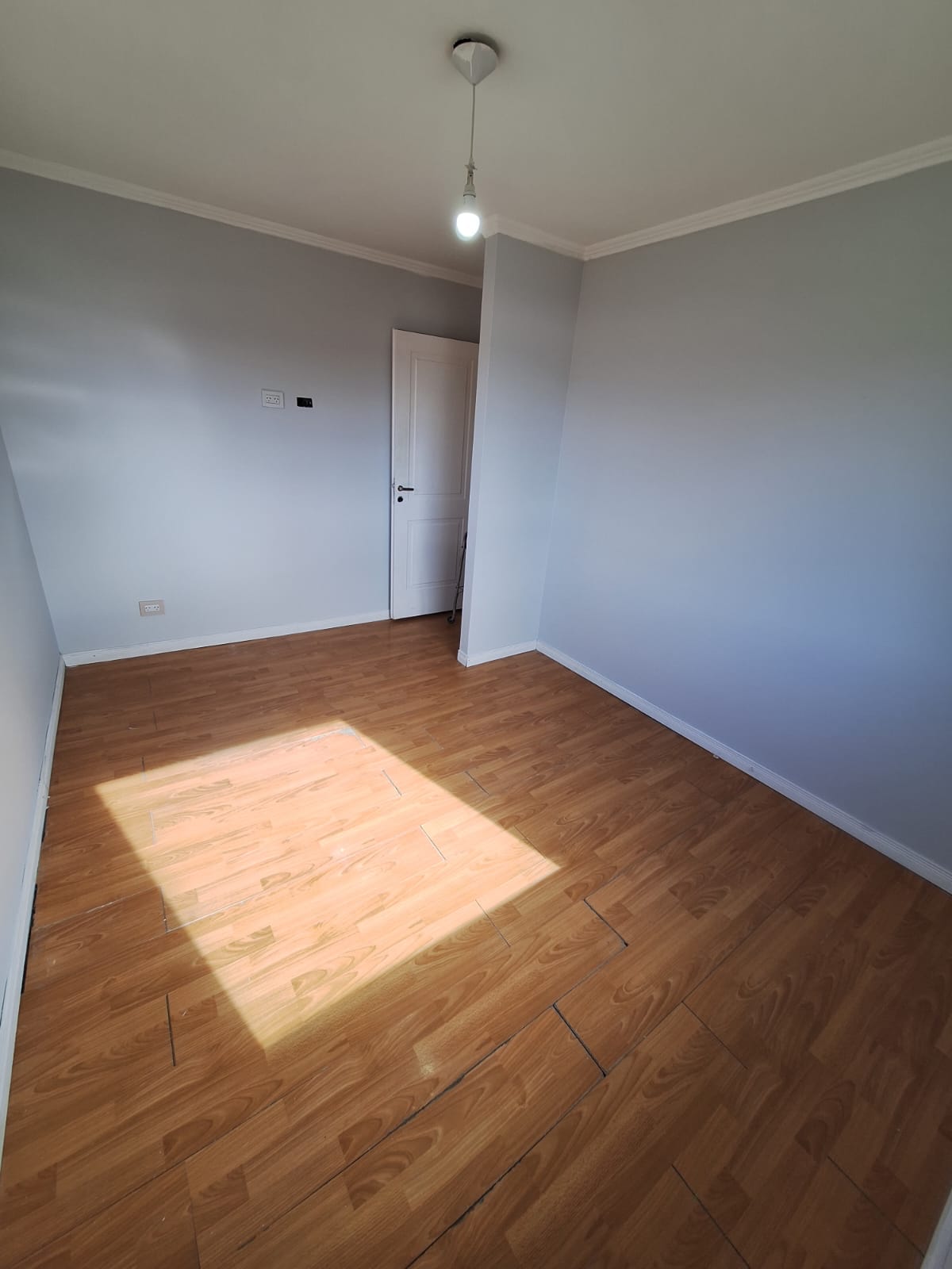 WhatsApp Image 2026-02-05 at 18.13.00 (1)