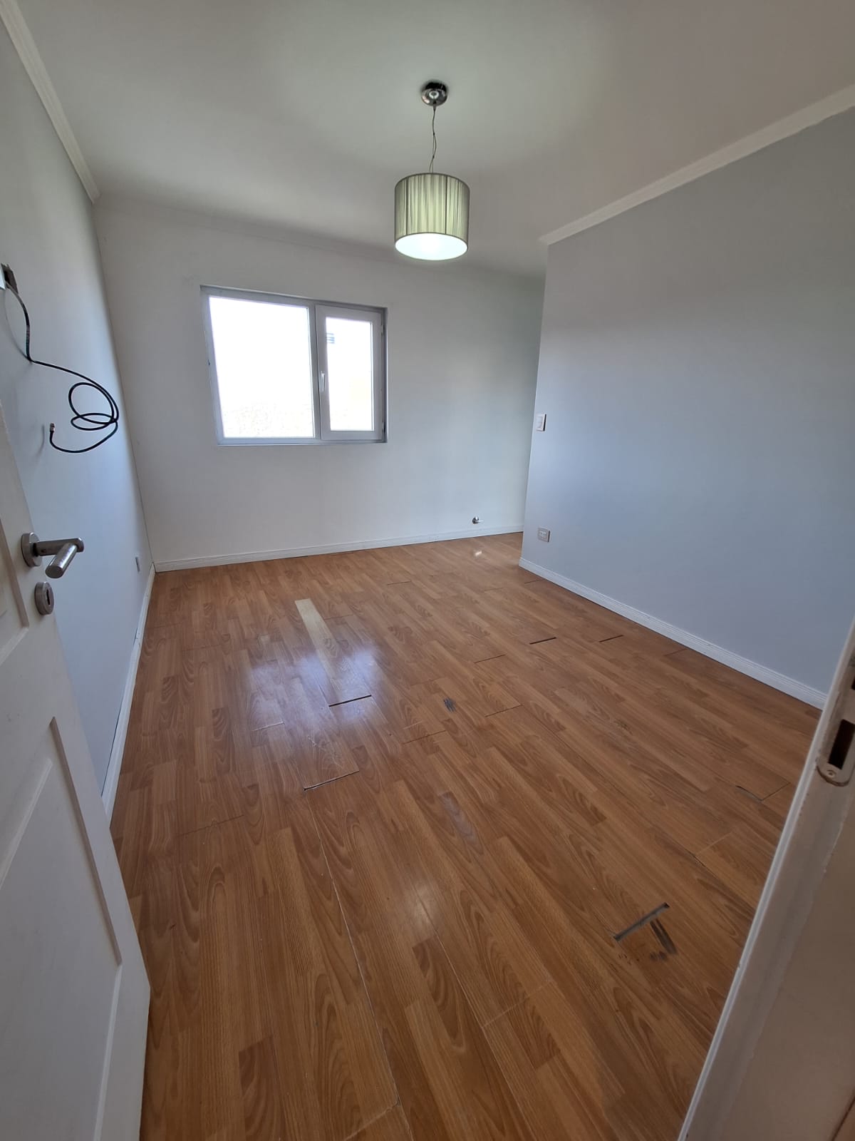 WhatsApp Image 2026-02-05 at 18.13.01